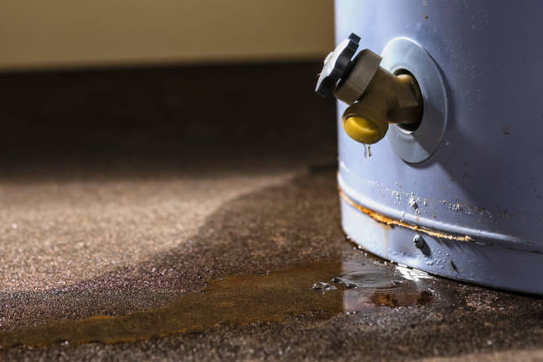 Best Water damage restoration near me  in Bentonville, AR