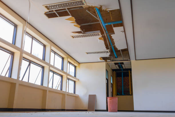 Best Commercial water damage restoration  in Bentonville, AR