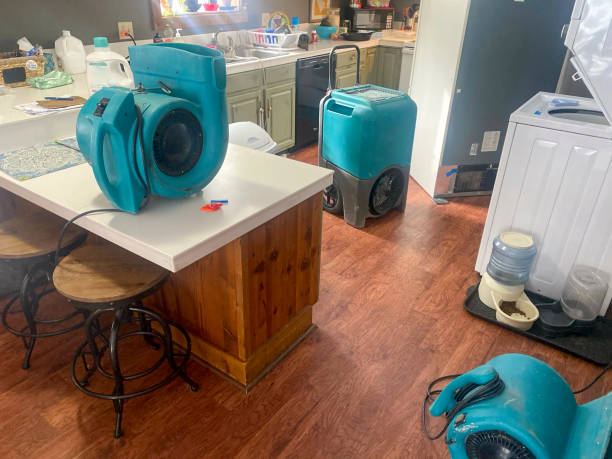 Best Water damage restoration mold remediation  in Bentonville, AR