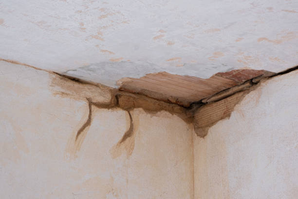 Best Water damage contractors near me  in Bentonville, AR
