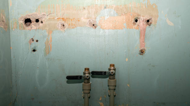 Best Water damage cleanup near me  in Bentonville, AR