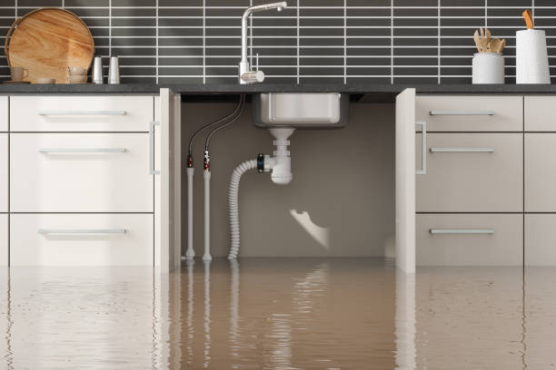 Best Water damage contractors near me  in Bentonville, AR